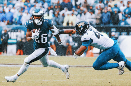 Birds Show Us How To Deal With Adversity